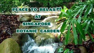 place to relax?! come and visit singapore botanic garden... @indaychristy-v