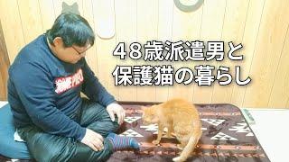 【借金派遣４８歳】【日常編】猫ちゃん特集や、踊る正男の日常