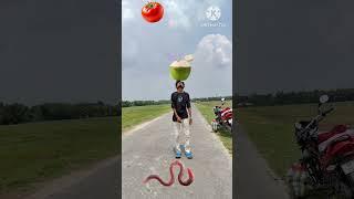 Tu radha meri main shyam tera yeh jodi na paave jamane mein 