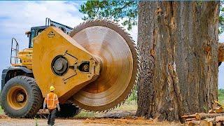 Dangerous Fastest Big Chainsaw Cutting Tree Machines | Crazy Wood Chipper Machines in Action