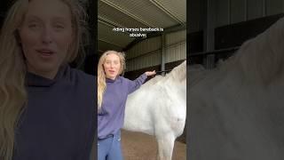 Riding horses bareback is ABUSE #horse #clydiecross #equestrian #equestrianlife #horseriding