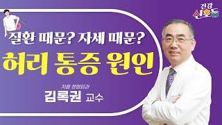 갑자기 생긴 허리 통증 원인은? 질환 통증과 일반 통증 비교&통증 완화 운동법 소개 (차움 정형외과 김록권 교수)