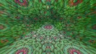 shrooms simulation(mega dose)