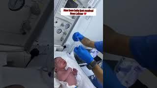 New born baby just recieving from Labour Room with low oxygen️🫶 #cutebaby #viralshorts