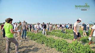 Biostimolanti in Campo: le visite alle parcelle fanno il tutto esaurito