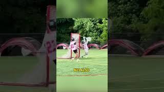 This 8th grader is insane at lacrosse! #lacrosse #viral