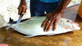 Fresh Indian Ocean Trevally Fish Cutting In Maldives |