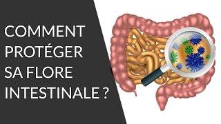 Quels sont les aliments bons pour notre flore intestinale ? - Question Nutrition