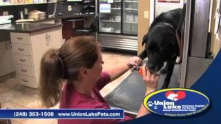 Union Lake Veterinary Hospital TV Commercial