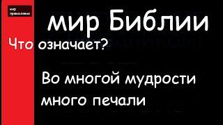 Мир Библии Крылатые выражения Во многой мудрости много печали #мирправославия