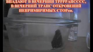 ИМЕНно СЕГОДНя