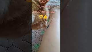 Дельный совет! 