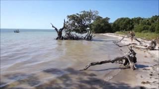 Long Key State Park - Florida Keys - USA