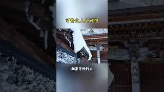 #可怜之人必有可恨之处 #人生感悟  #命理 #風水 #佛教 #傳統文化