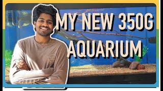 My New 6 Foot Native Australian Aquarium!