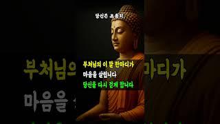 부처님의 이 말 한마디가 마음을 살립니다｜당신을 다시 걷게 합니다 #부처님말씀 #명언 #자기수행