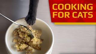 Cooking for cats - Tuna with Rice and Potato (Recipe  for Cats) 4K