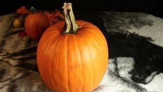 ASMR - Peaceful Pumpkin Tapping for Fall (noisy)