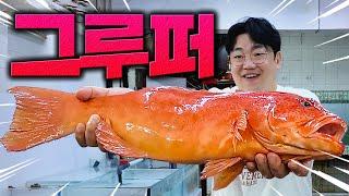 "이거 얼마예요?" 부자들만 먹는다는 초대왕 그루퍼의 실체 공개합니다.
