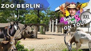 Bake & Play on Tour - Zoo Berlin