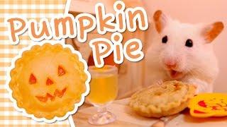  Pumpkin Pie | HAMSTER KITCHEN 