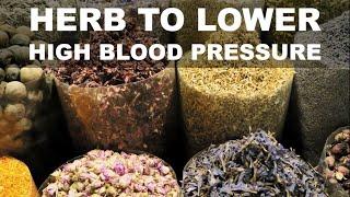 Top 10 Herbal Medicine for High Blood Pressure