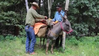 Donkey Packing - www.mountainridgegear.com