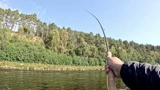 Spey Casting Technique | How to do the Snake Roll Cast