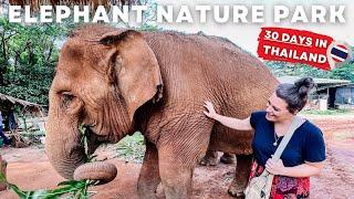 Elephant Nature Park 2022 | Unforgettable Chiang Mai Day Trip