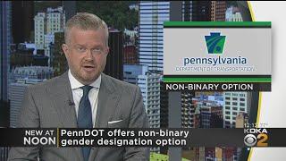 PennDOT Offering Non-Binary Option For Drivers Licenses