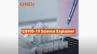 COVID-19 Science Explainer Episode 2: Chagas disease & COVID-19 | Dr Sergio Sosa-Estani