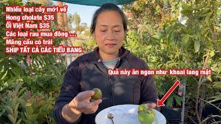 Nhieu hàng mới về , thử loại trái cây ăn ngon như khoai lang mật