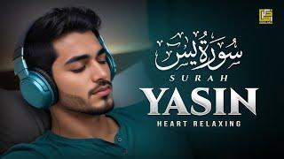 Marvelous Quran Recitation of Surah Yasin (Yaseen) سورة يس | Majestic Voice | Zikrullah TV