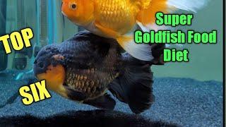 Best Goldfish Food Diet For Growth @kenaqua