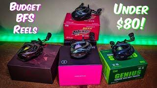 Fishing on a Budget: The Top 4 BFS Reels Under $80