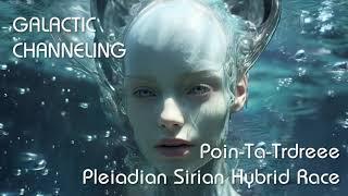 Pleiadian-Sirian Hybrid Being - Poin-Ta-Trdree -Galactic Channeling Series