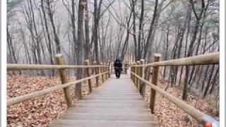우리 큰 걸음으로 - 노래를 찾는 사람들 4집
