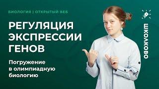 Регуляция экспрессии генов | Эпигенетика, альтернативный сплайсинг, энхансеры и сайленсеры.