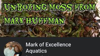 unboxing moss from Mark huffman