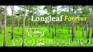 Longleaf Forever