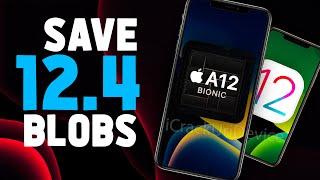 iOS 12.4 Jailbreak: How to Save SHSH2 Blobs iPhone XS Max, XR & XS (A12)!