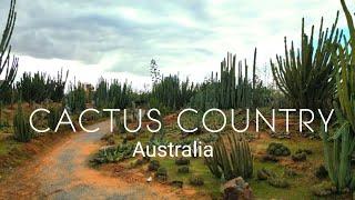 Cactus Country | Including Drone Videos | Strathmerton | Victoria | Australia