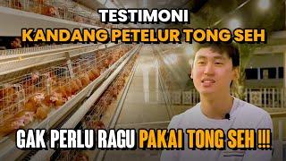 Testimoni Kandang Petelur Tong Seh: Gak Perlu Ragu Pakai Tongseh!!!