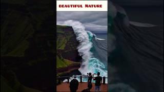 "Nature's Wild Beauty  | Stunning Ocean View #Shorts" #youtubeshorts #shortsfeed #trendingshorts