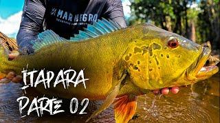 1 PEDAÇO DE FERRO, 1 ANZOL E 1 PARAFUSO ! ESSA ISCA VAI TE FAZER PEGAR MUITO PEIXE !