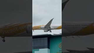 Scoot plane landing #landing #planelanding #plane #airport #airlines #trending #simplyvlogs #viral