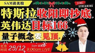 特斯拉收阳即抄底？英伟达目标166？量子概念要见顶？【美股直通车】2024.12.25 #sam谈美股 #美股分析 #tsla #nvda #特斯拉 #英伟达