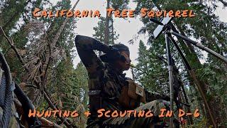 2024 Tree Squirrel Hunting & Scouting in D-6 | Yos Haav Zoov