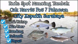 Rute Spot Mancing Tambak Cak Harris Pos 7 Pakuwon City Keputih Surabaya