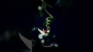 just Ayan edit...... #editing #likesforlike #naturephotography #shorts #viral